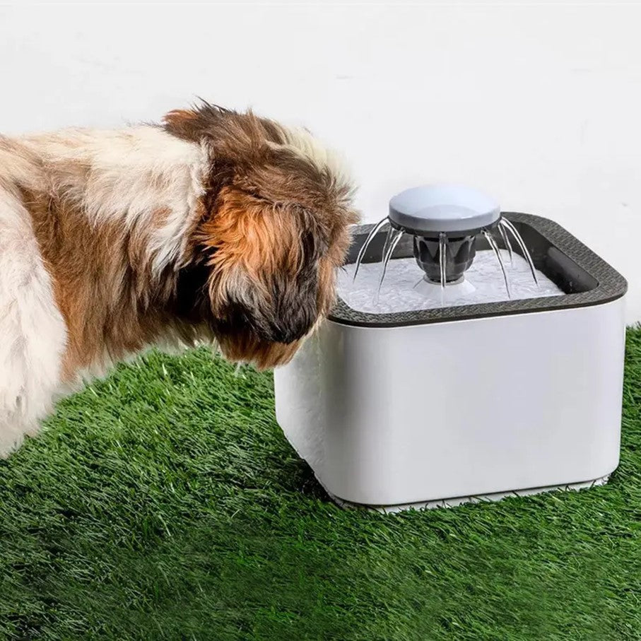Fuentes de agua para mascotas
