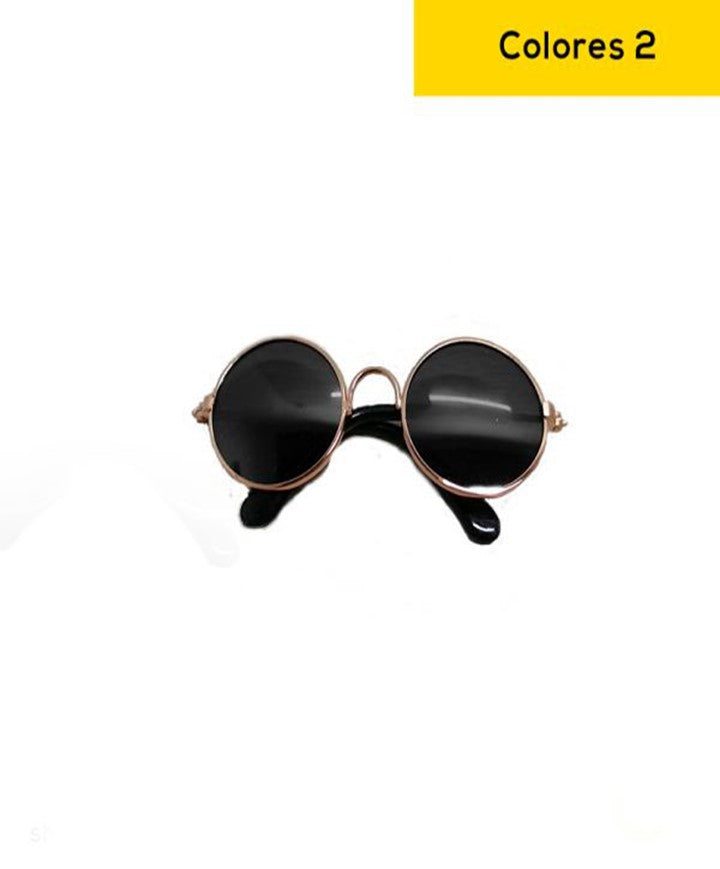 Gafas para gatos