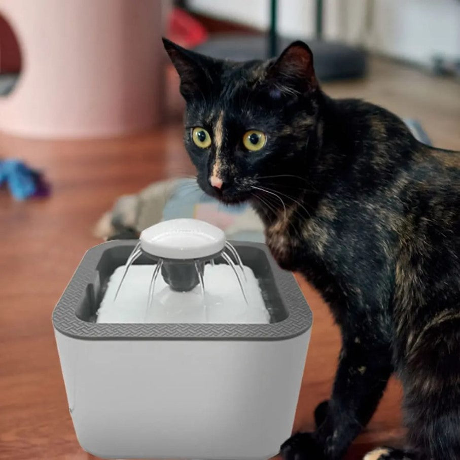 Fuentes de agua para mascotas