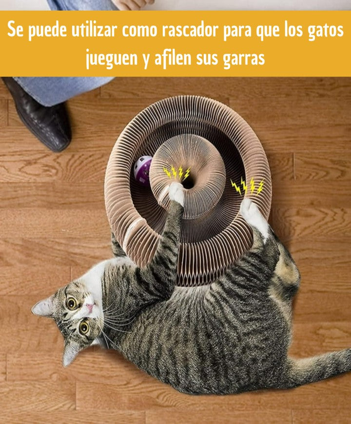 JUGUETE RASCADOR PARA GATOS CON ÓRGANO M